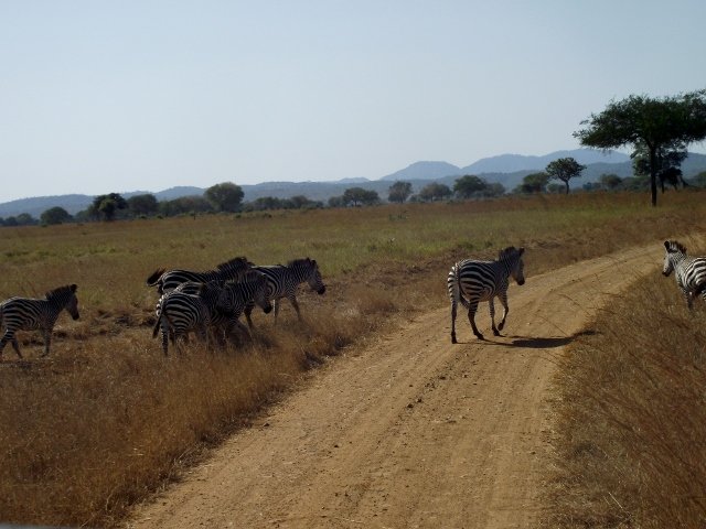 Malawi 016